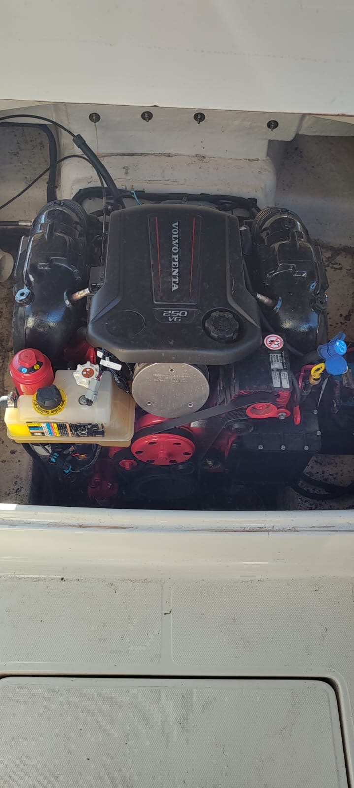 Canestrari Cuddy 225 2021 Volvo 250 DP 